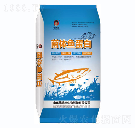 ���w�~����-ʩ���S