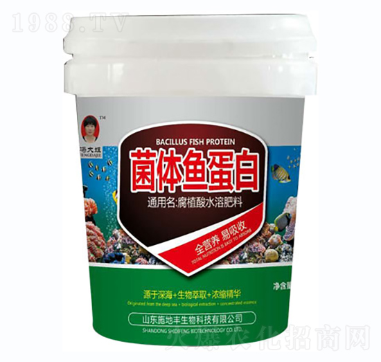 ���w�~���ף�Ͱ��-ʩ���S