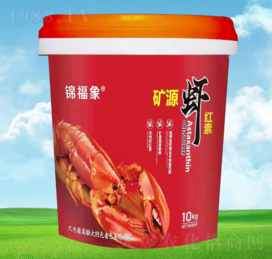 �VԴ�r�t��-�\����-�S���r�I(y��)