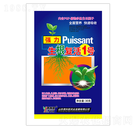 ������(f��)��1̖(h��o)-������