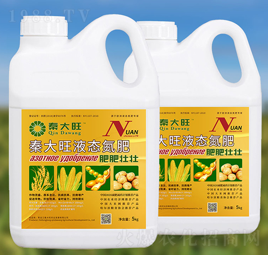 5kgҺ�B(t��i)����-�ش���