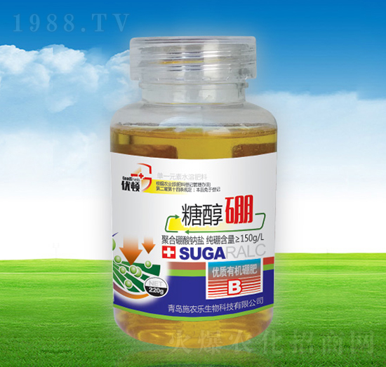 �Ǵ���-�μѸ�