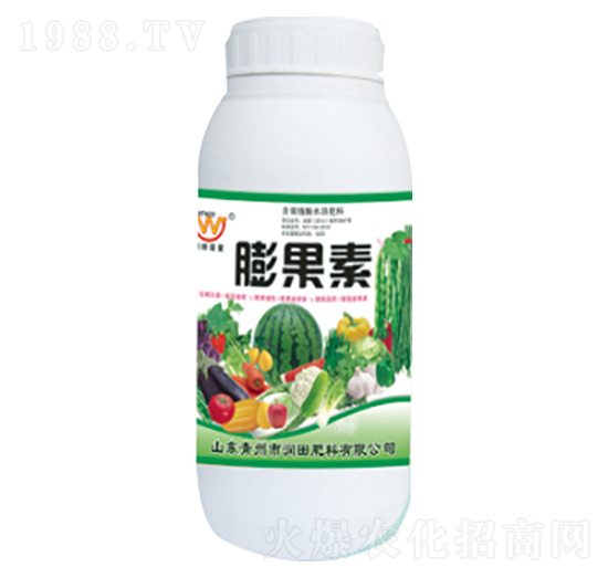 �����-�������