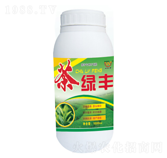 ��G�S�~���-�������