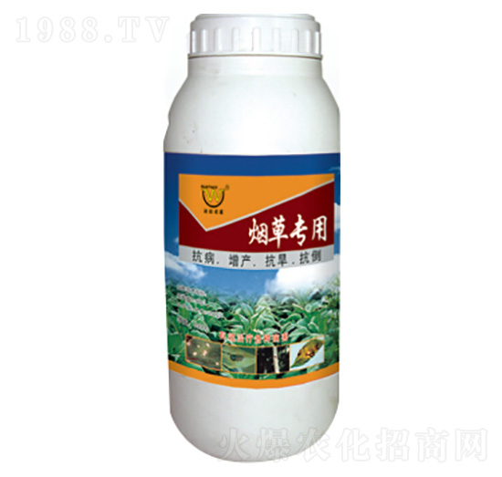 ���݌����~���-�������