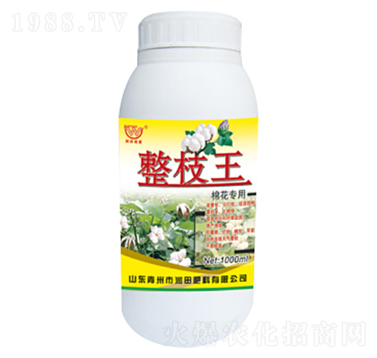 ��֦���~���-��(r��n)�����