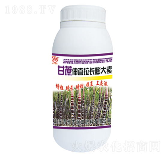 ������ֱ���L(zh��ng)�����-��(r��n)�����