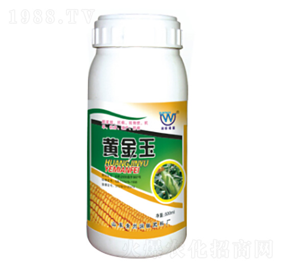 �S����-�������