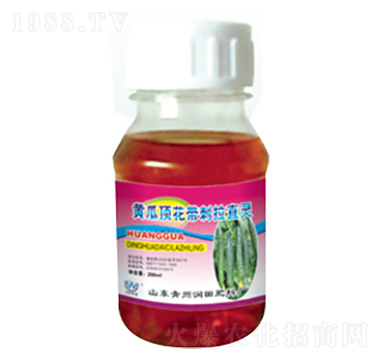 黃瓜頂花帶刺拉直靈-潤田肥料