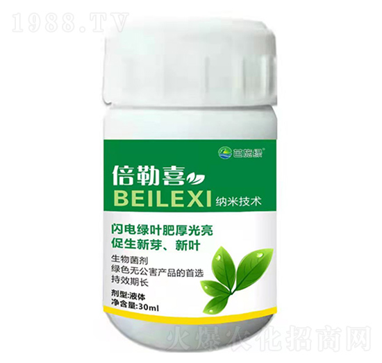 ����ϲ-��ʩ�G