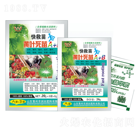 �S�~����A+B-�����-�������