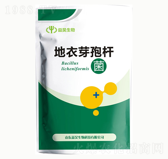 ����ѿ�ߗU��-�������