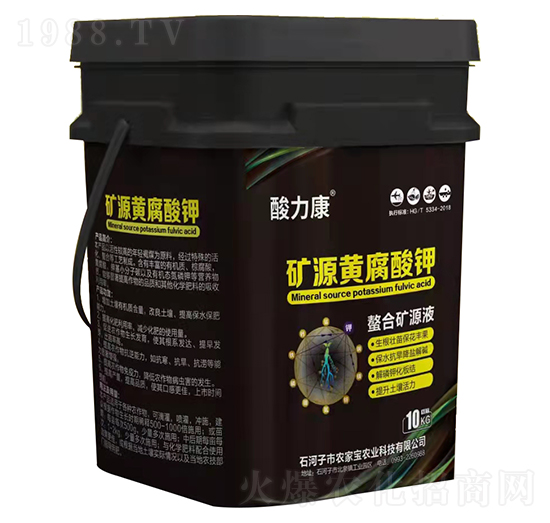 �VԴ�S�����-������-�r�Ҍ�