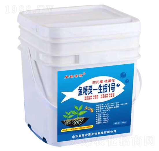 20kg�~���`-����1̖-�ʼڵ۹�