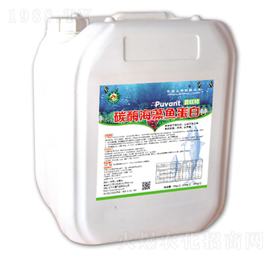 ̼ø�����~����-������-�W���S