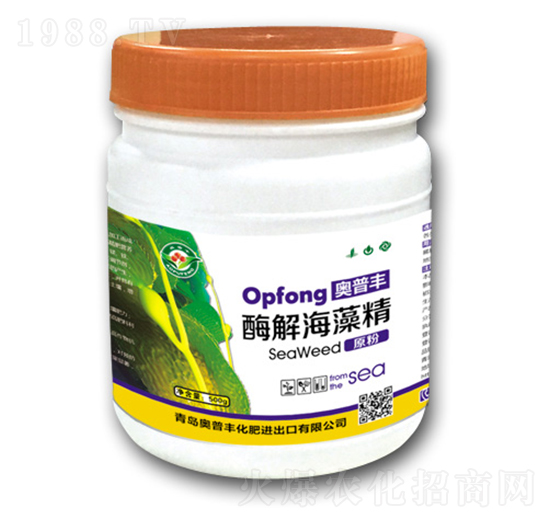 ø�⺣�徫-�W���S