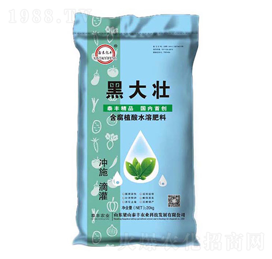 ����ֲ��ˮ�ܷ���-�ڴ��-��ɽ̩�S