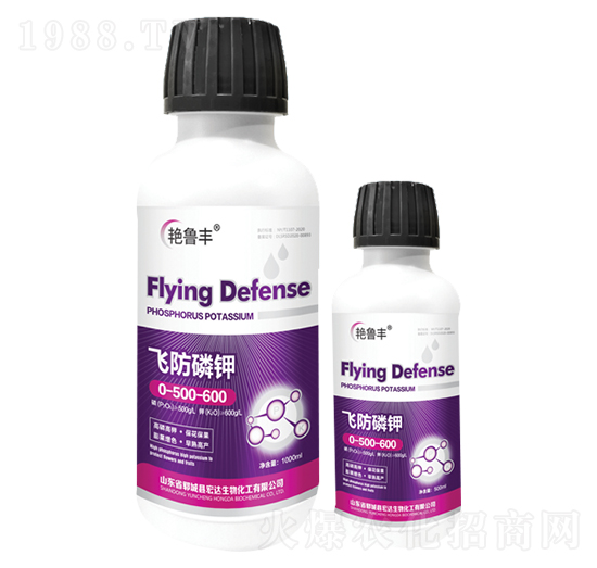 �w�����0-500-600-���_����