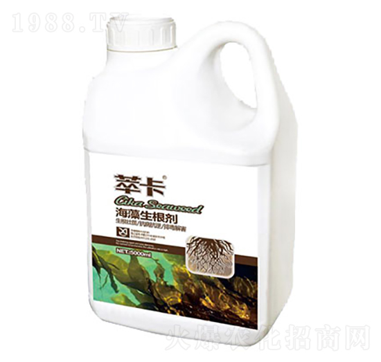 ����������-�Ϳ�-���S��