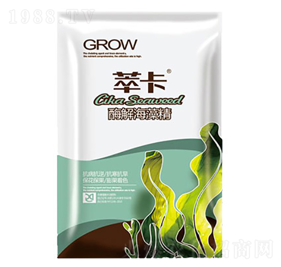 ø�⺣�徫-�Ϳ�-���S��