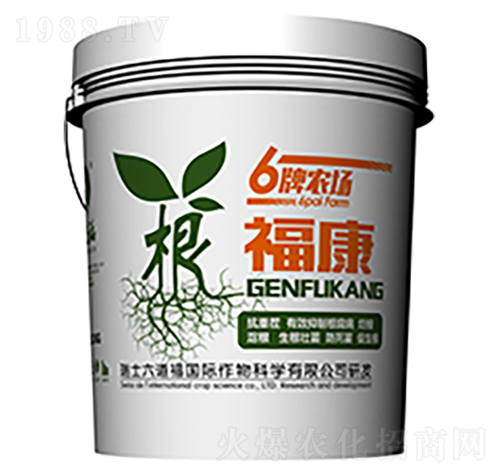 ������-������