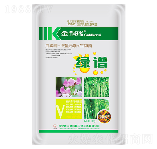 �G�V�����(l��i)��-�����