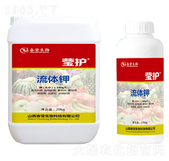 ���w�-���o(h��)-��������