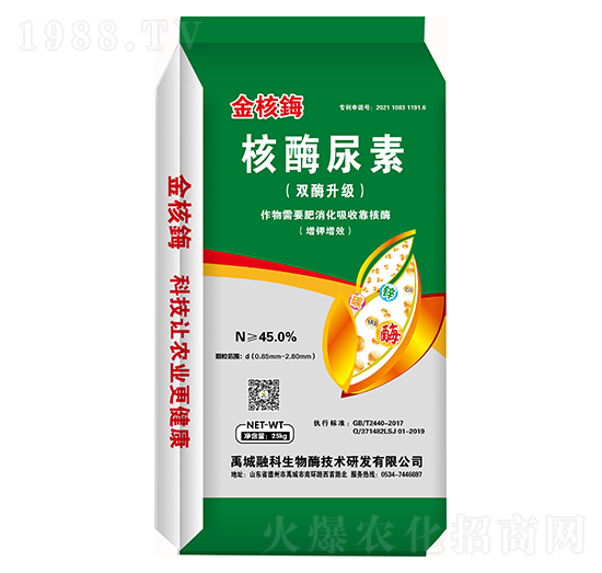 ���Y����-����Y-�ڿ�