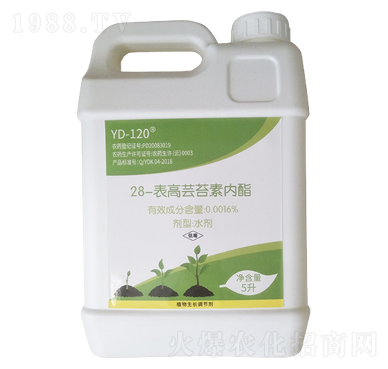 28�����|̦�؃�(n��i)��-�����m�r(n��ng)�I(y��)