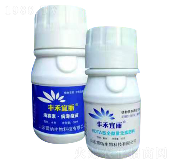 �S�������������ײ�-�׼{����