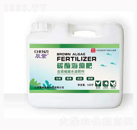 ����̼ø�����-�׼{����