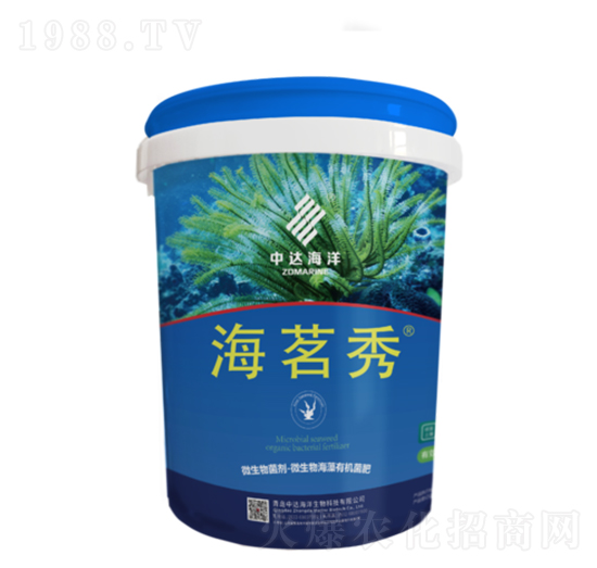 ������-���_(d��)