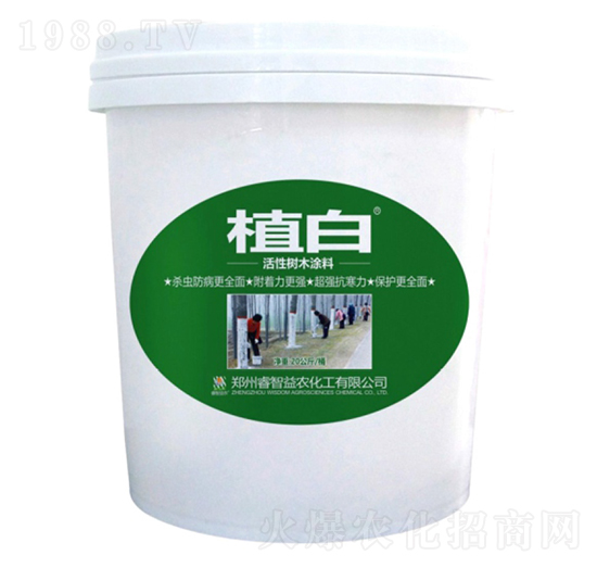 20����ֲ�׻��Ԙ�ľͿ��-������r(n��ng)