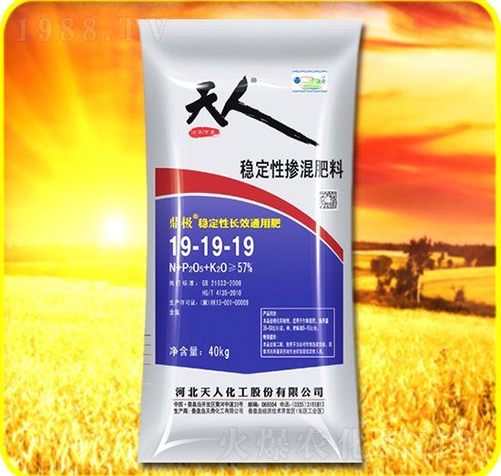 ��(w��n)���ԓ������19-19-19-���˻���