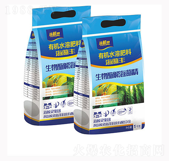 �����S����ø�⺣�徫-���L�`