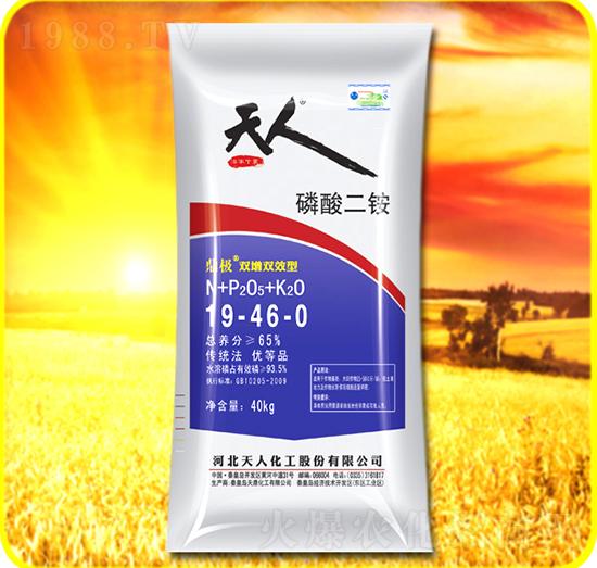 40kg������@19-46-0-���˻���