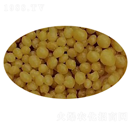 �����{�턩���Sɫ��-���R��