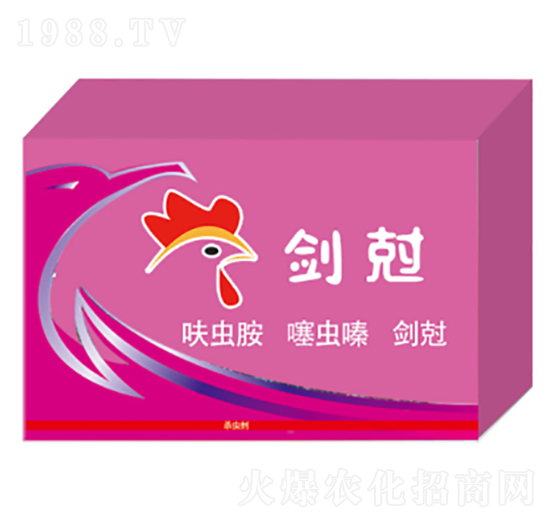 ����-¡������