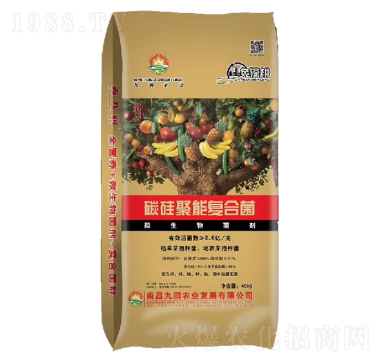 ̼����܏ͺϾ�-�ŝ��r�I(y��)