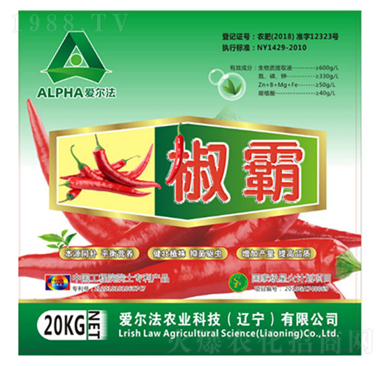 Һ�w��-����-��(��i)����