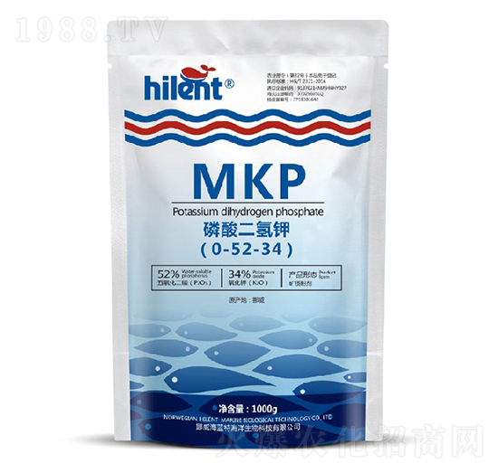 ��������0-52-34-���{(l��n)��