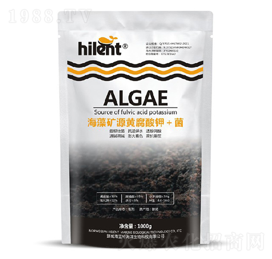 ����VԴ�S����⛣���-���{��