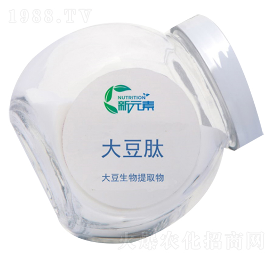 ����-��Ԫ��