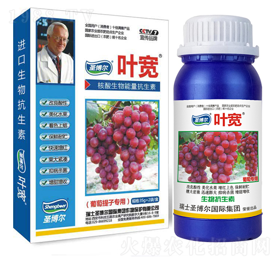 �������ӌ����~���-��������ø�T����-�~��-ʥ��������