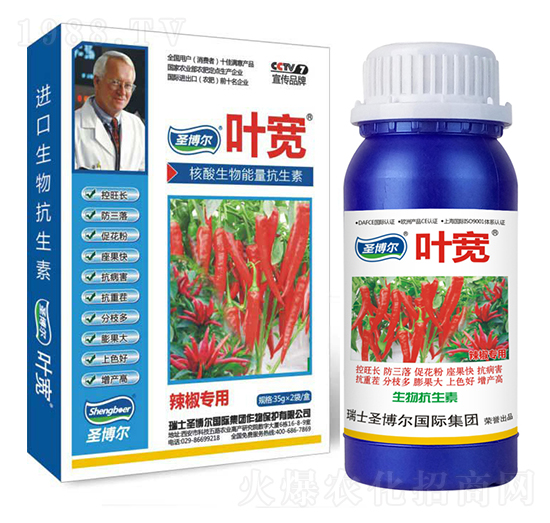 ������(zhu��n)���~���-��������ø�T����-�~��-ʥ��������