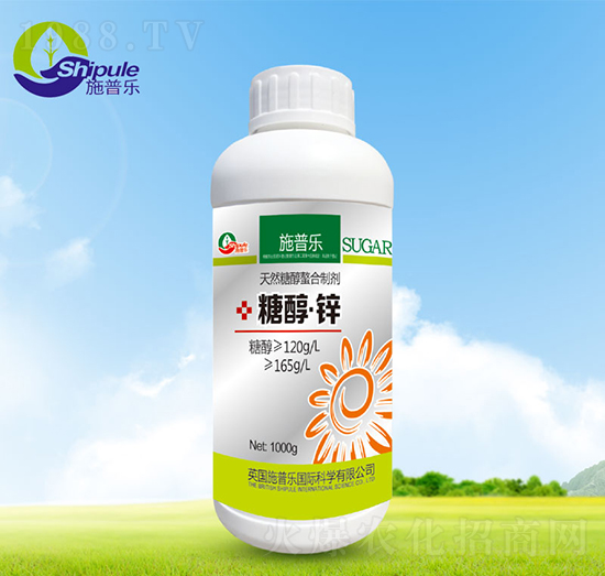 �Ǵ����\-ʩ�՘�