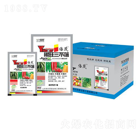 ����������-�A�����Z