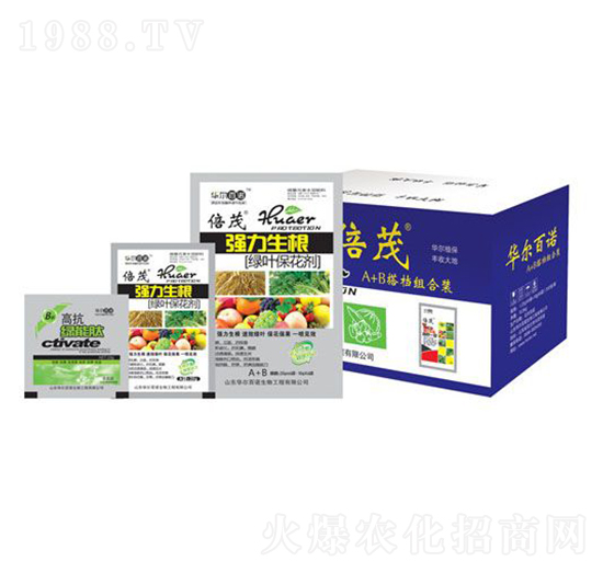 ���������G�~������-�A�����Z