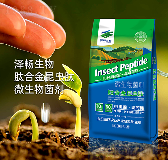 �ĺϽ�΢�������-�ɕ�����