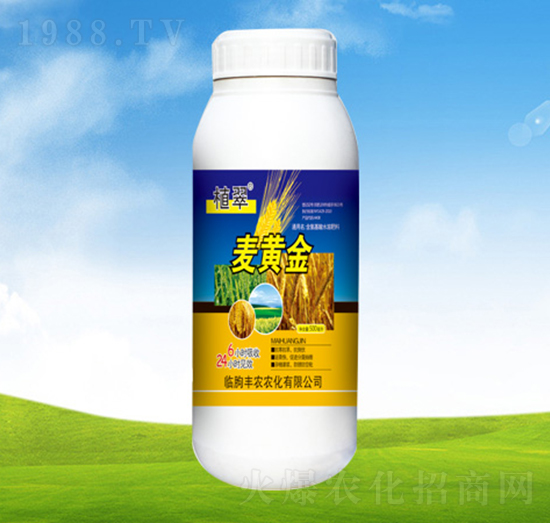 ���S��-ֲ��-�S�r�r��